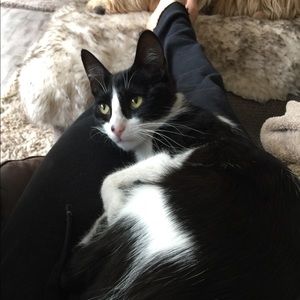 Meet your Posher, Bailey